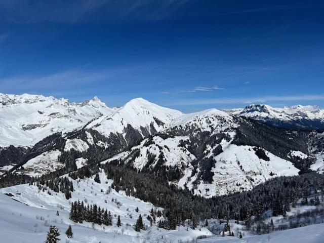 La Coufa, Spacieux Duplex En Chalet, Terrasse, Jardin, Vues Montagnes La Giettaz Eksteriør bilde